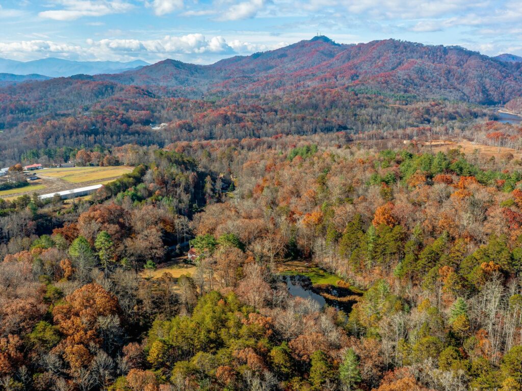Large Acreage Tract and Airstrip for Sale in Bryson City and house