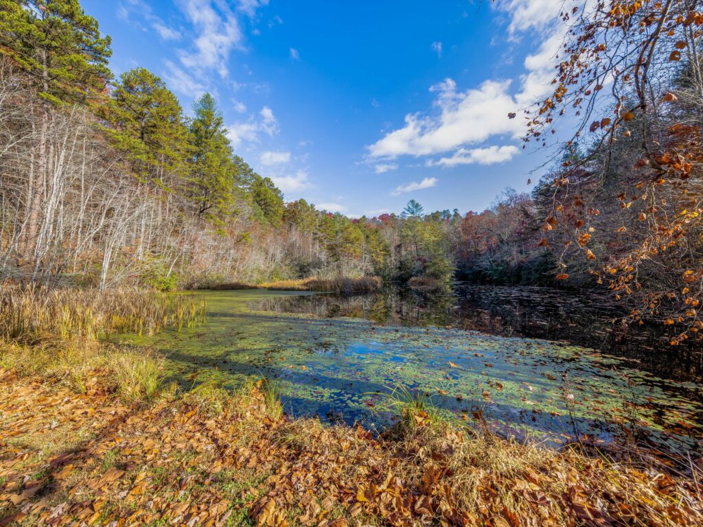 Large Acreage Tract and Airstrip for Sale in Bryson City and house