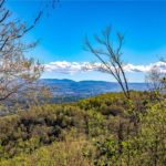 Land Sold Western North Carolina Asheville