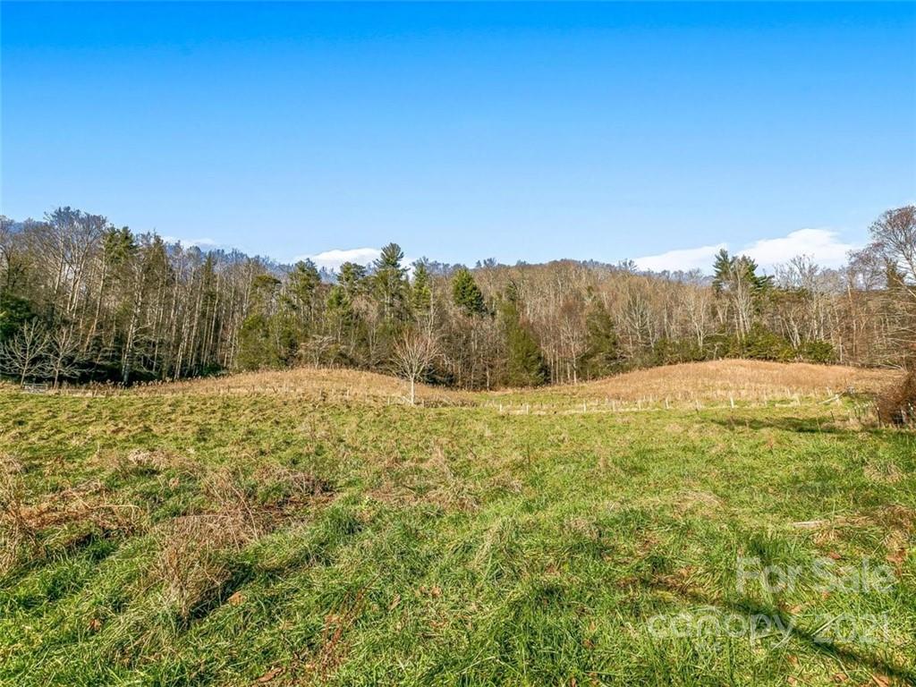 Farm for Sale in Weaverville