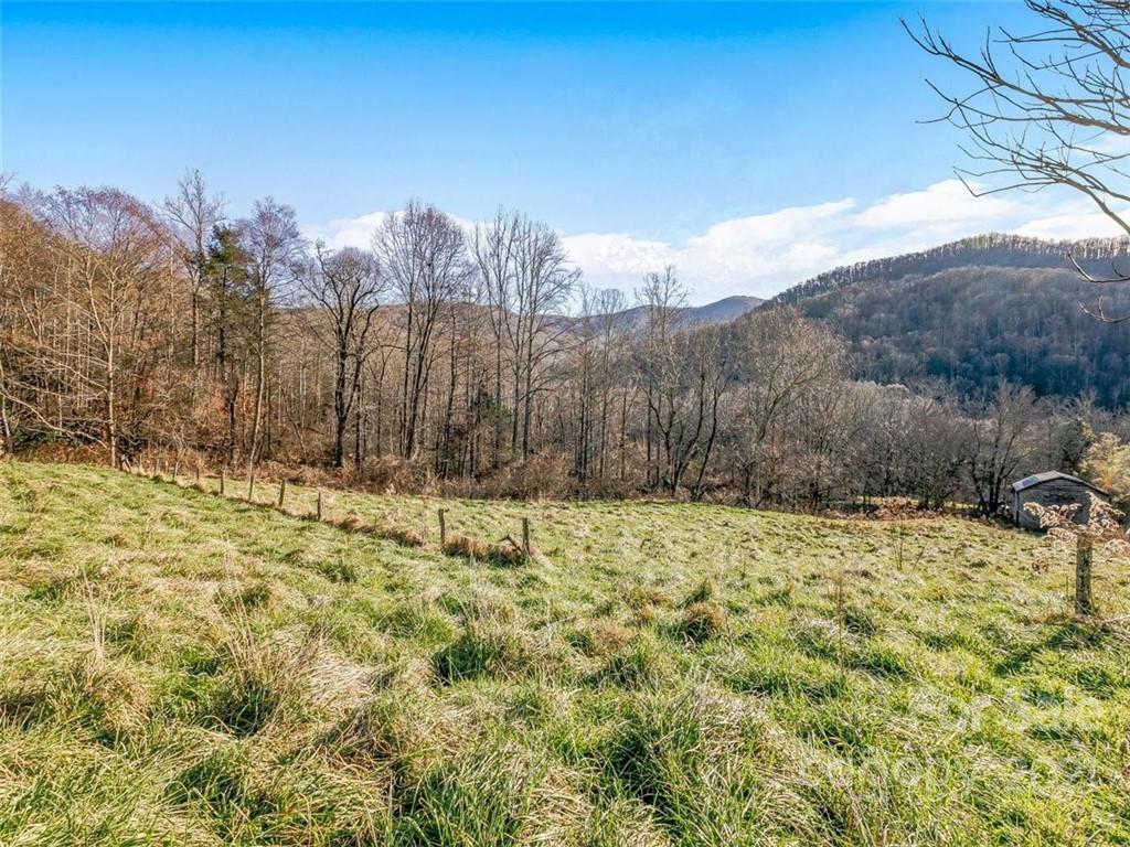 Land with Pastures for Sale in Weaverville