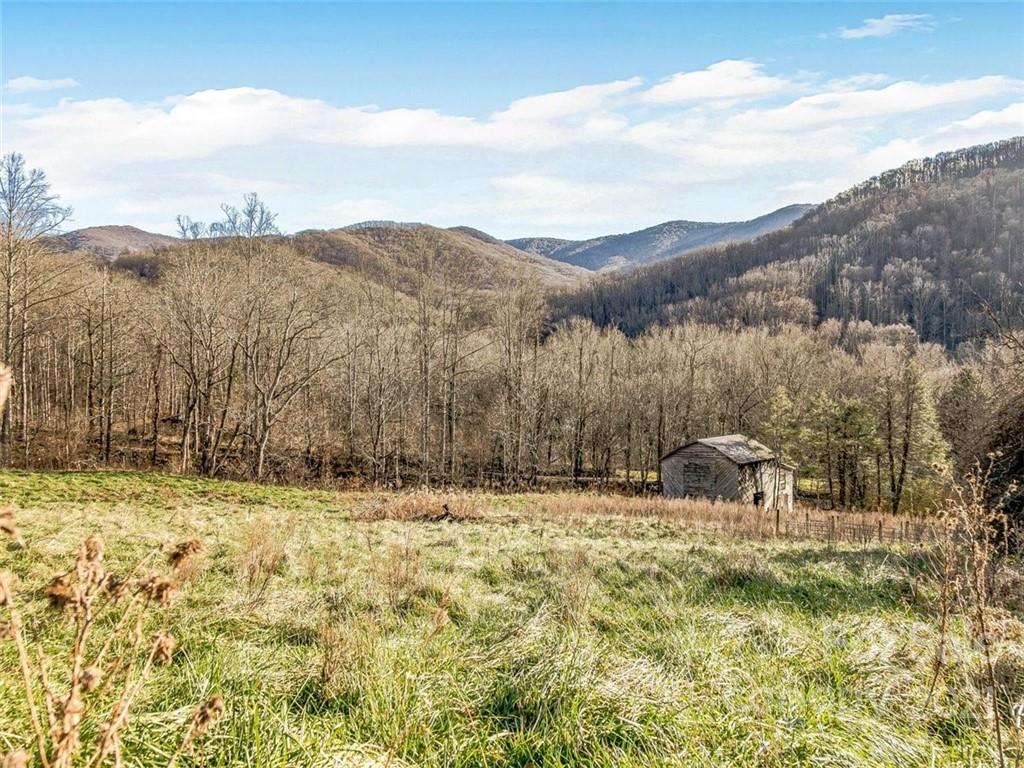 Farm for Sale in Weaverville