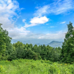 Land in Marshall North Carolina