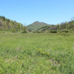 Land in Mars Hill North Carolina