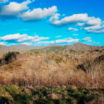 Land Sold in Western North Carolina