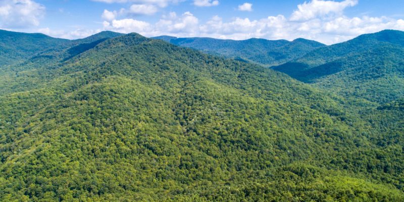 Mountain Land for Sale Balsam Mountain Preserve