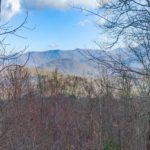 Mundy Cove Weaverville Land for Sale