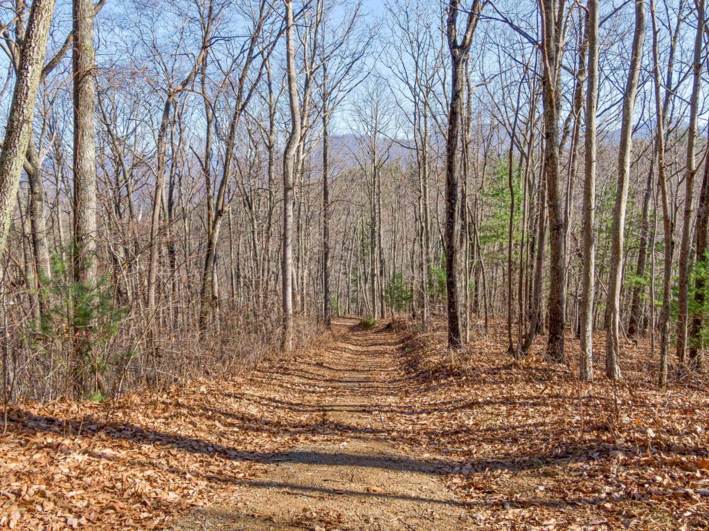 Roadbed in Weaverville