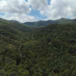 Land for Sale Tilley Creek