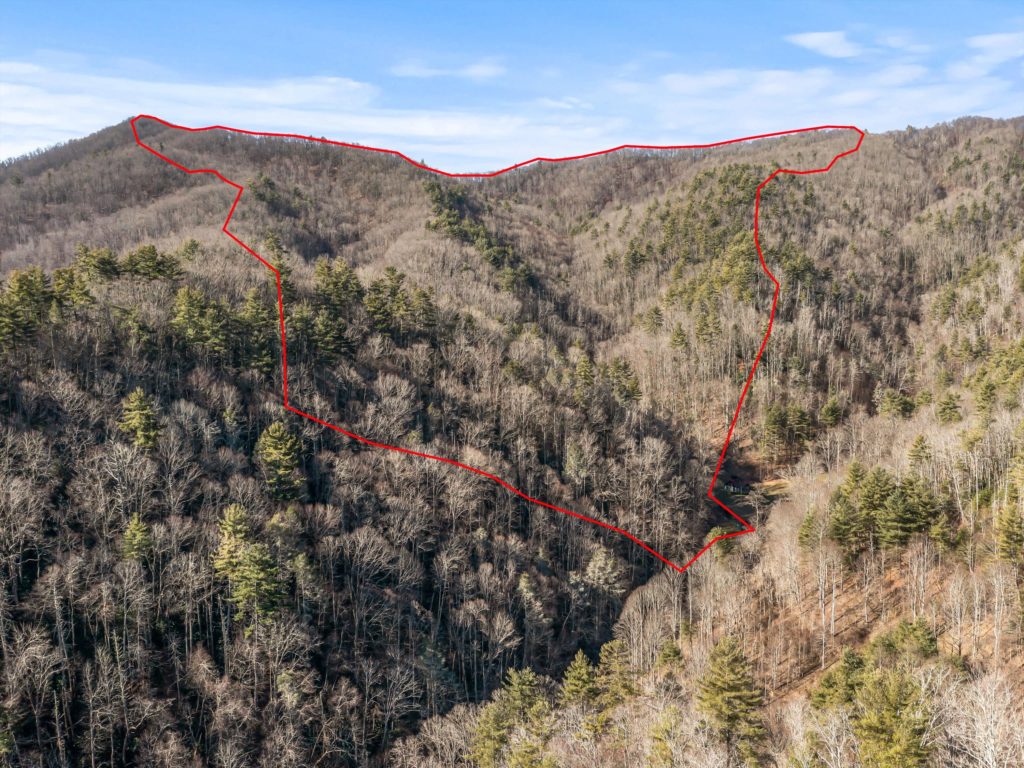 Mountain land for sale in Marshall NC