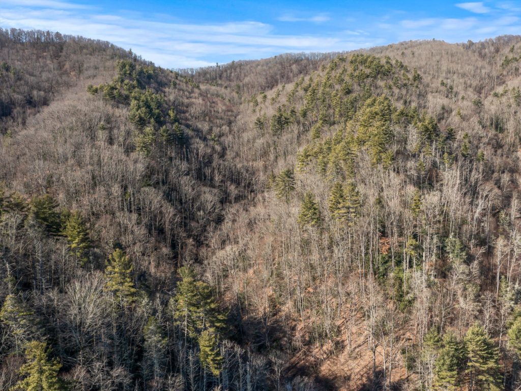 Mountain land for sale in Marshall NC