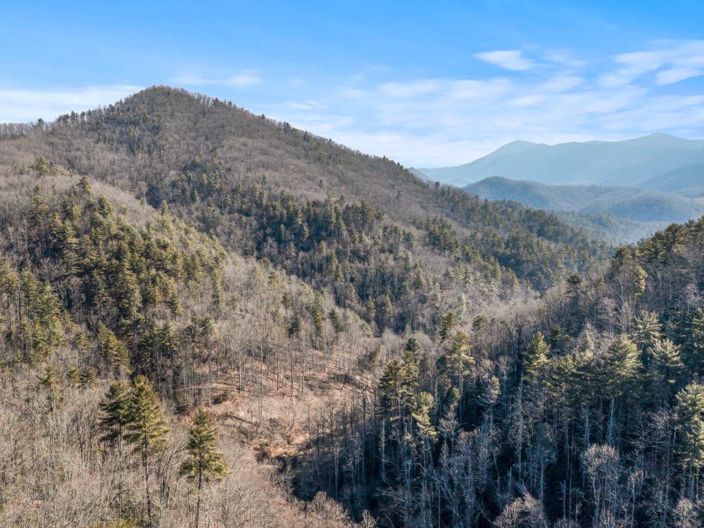 WNC mountain land for sale