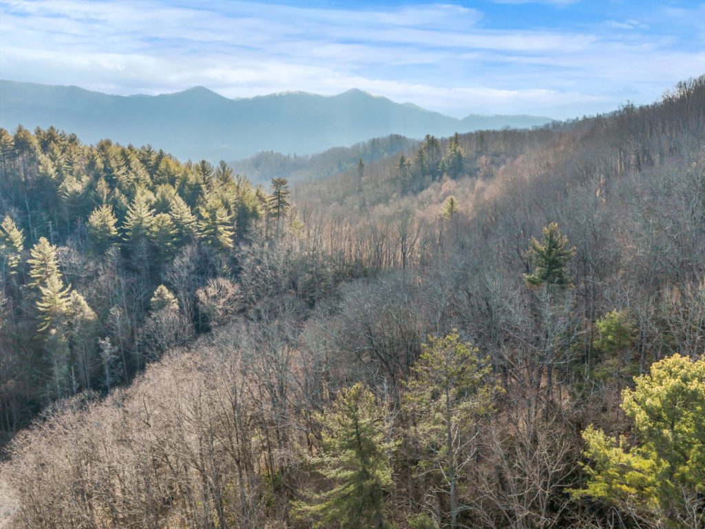 Long range views WNC land for sale