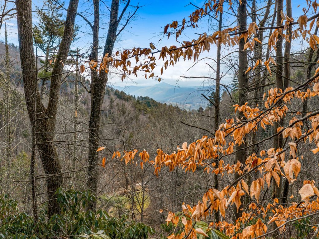 Long range views in Madison County