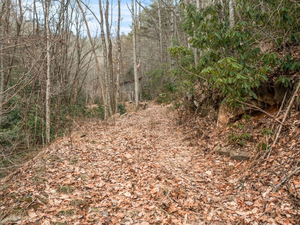 Existing road beds on land for sale in Madison County