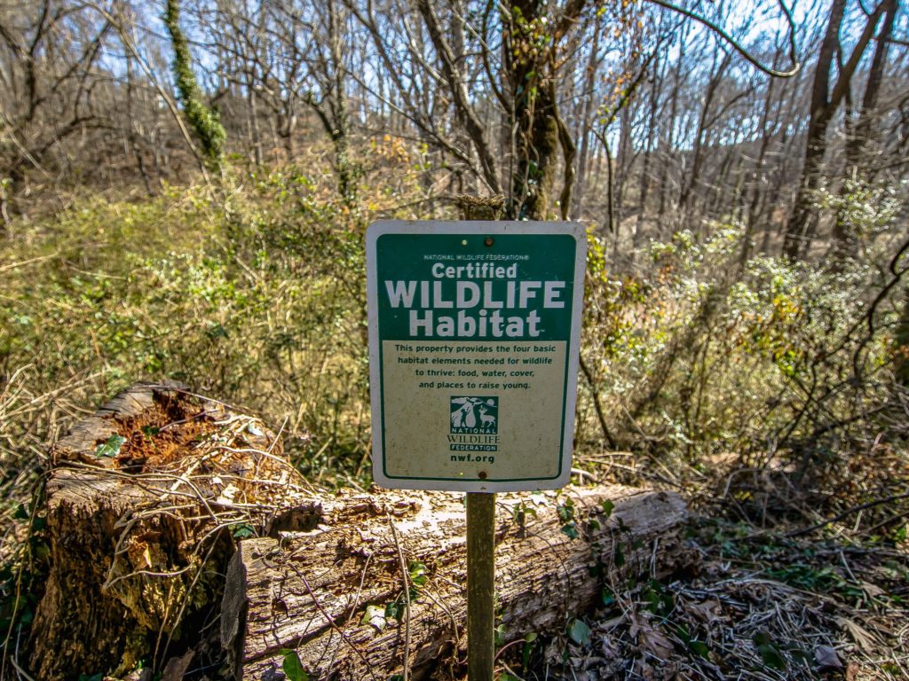 Certified wildlife habitat in Asheville