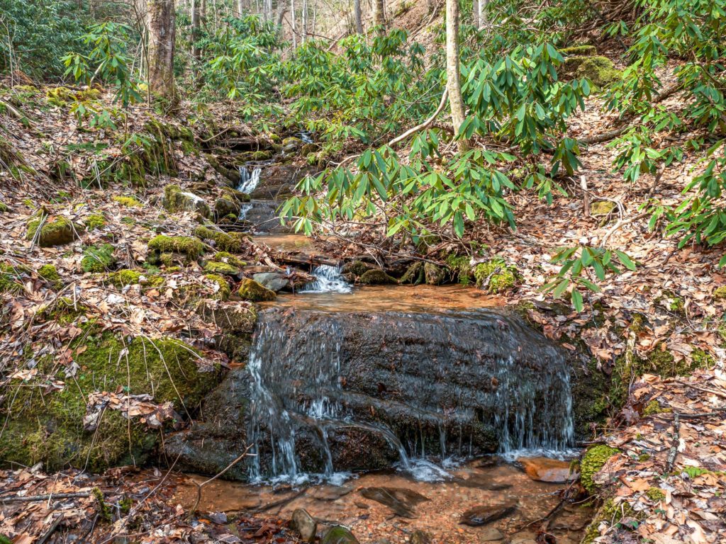 Watershed springs on land for sale in Madison County