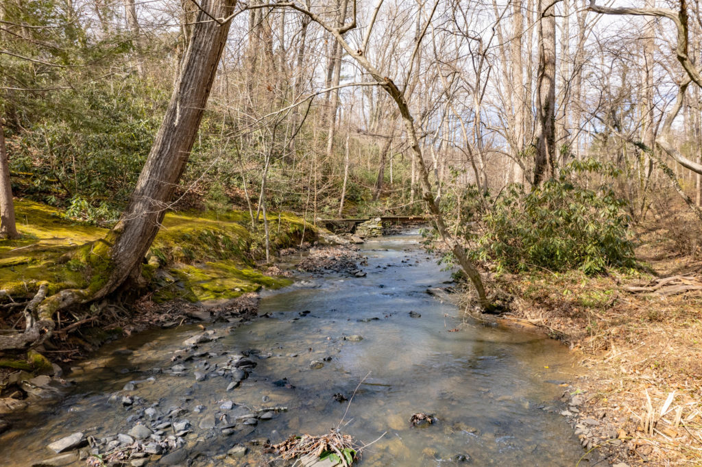 Asheville Commercial Land for Sale by Creek