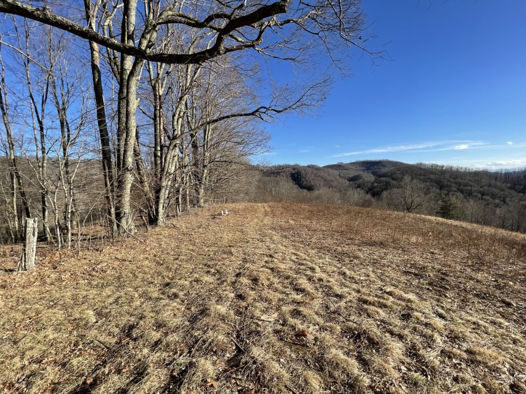 Mars Hill Land for Sale Near Pisgah