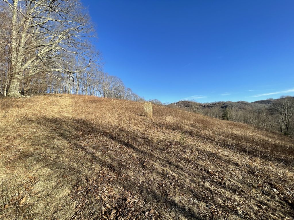 Ridgetop Land for Sale