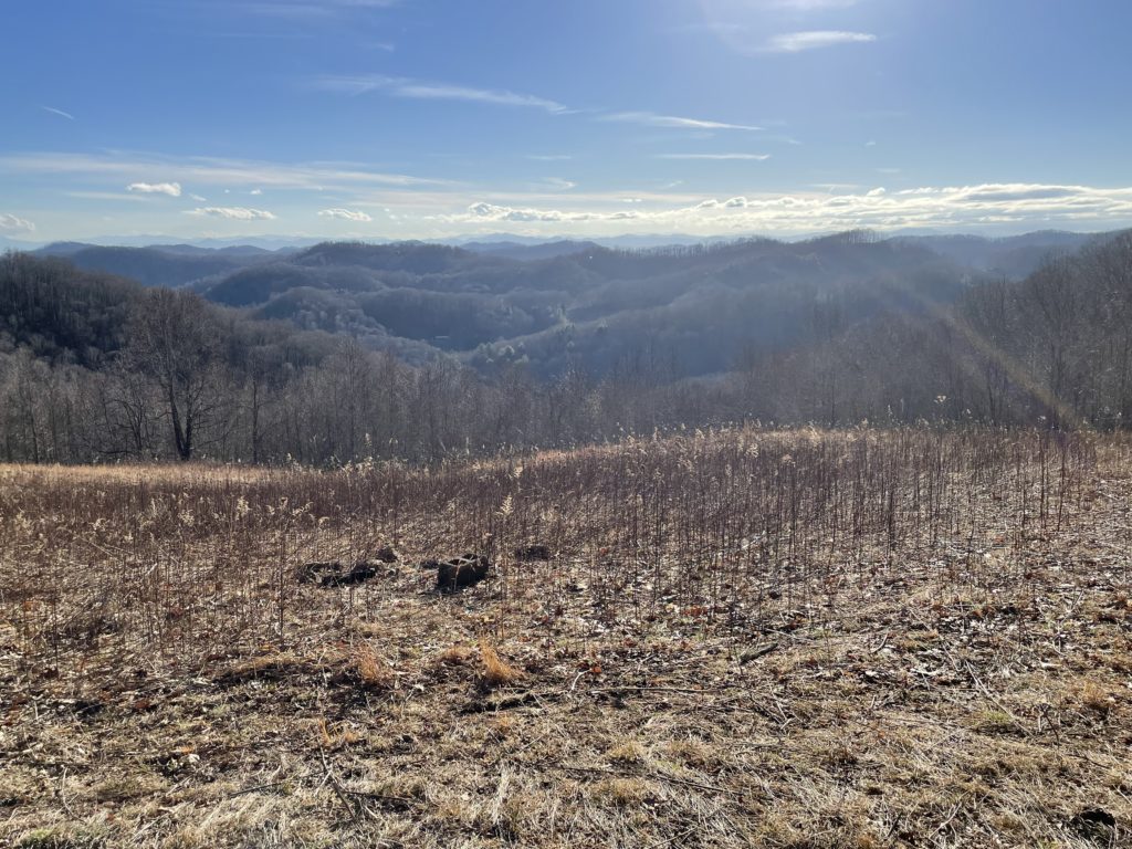 Mountain Land for Sale in Mars Hill