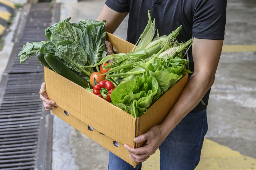 Community Supported Agriculture (CSA) in Asheville