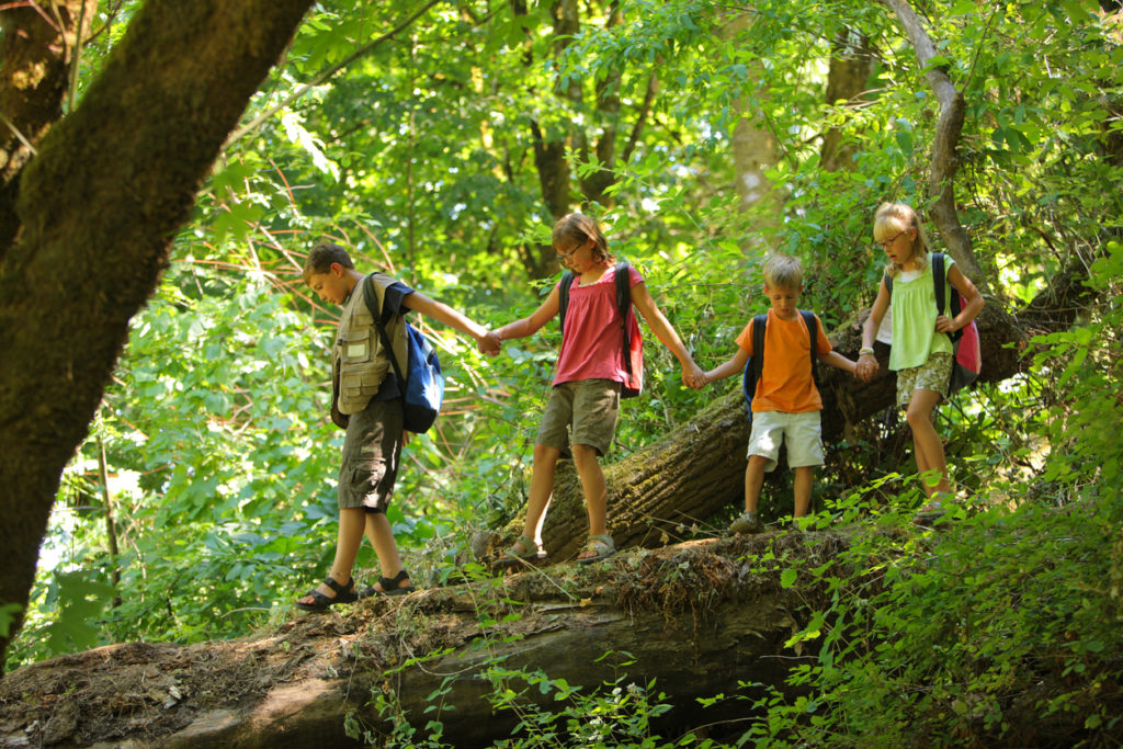 Guide to Asheville summer camps