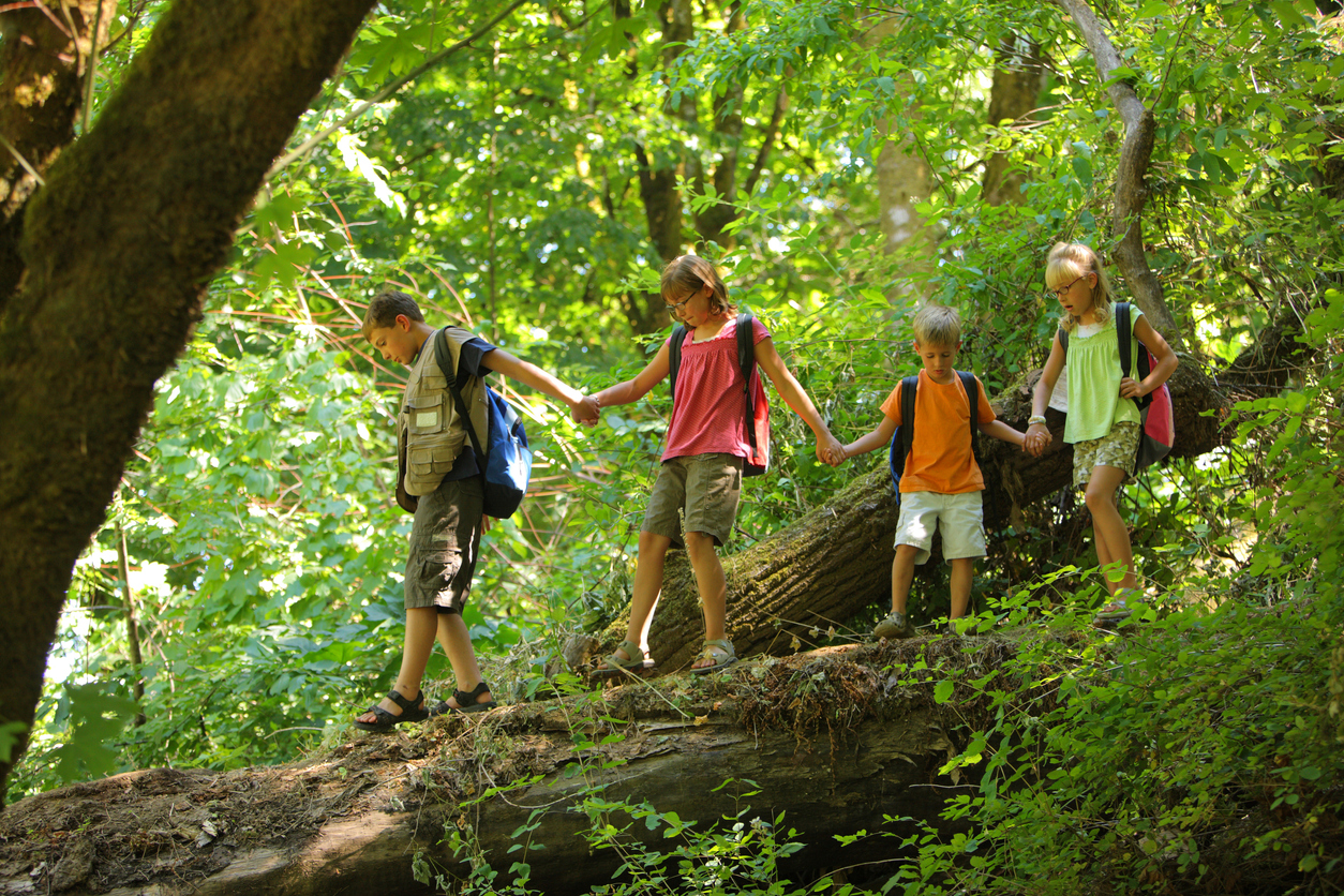 Guide to Asheville Summer Camps Altamont Property Group
