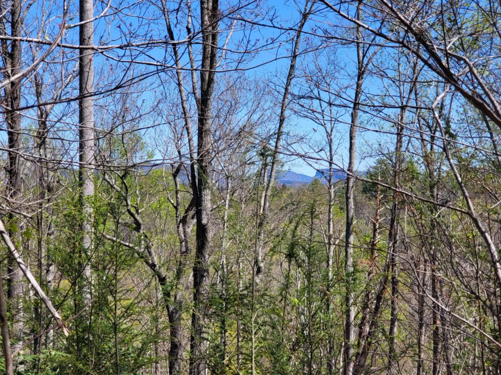 Lake James mountain views