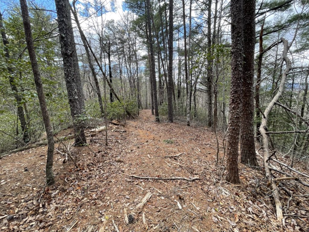 Lake James trails