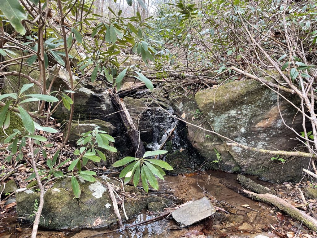 Lake James springs and creek