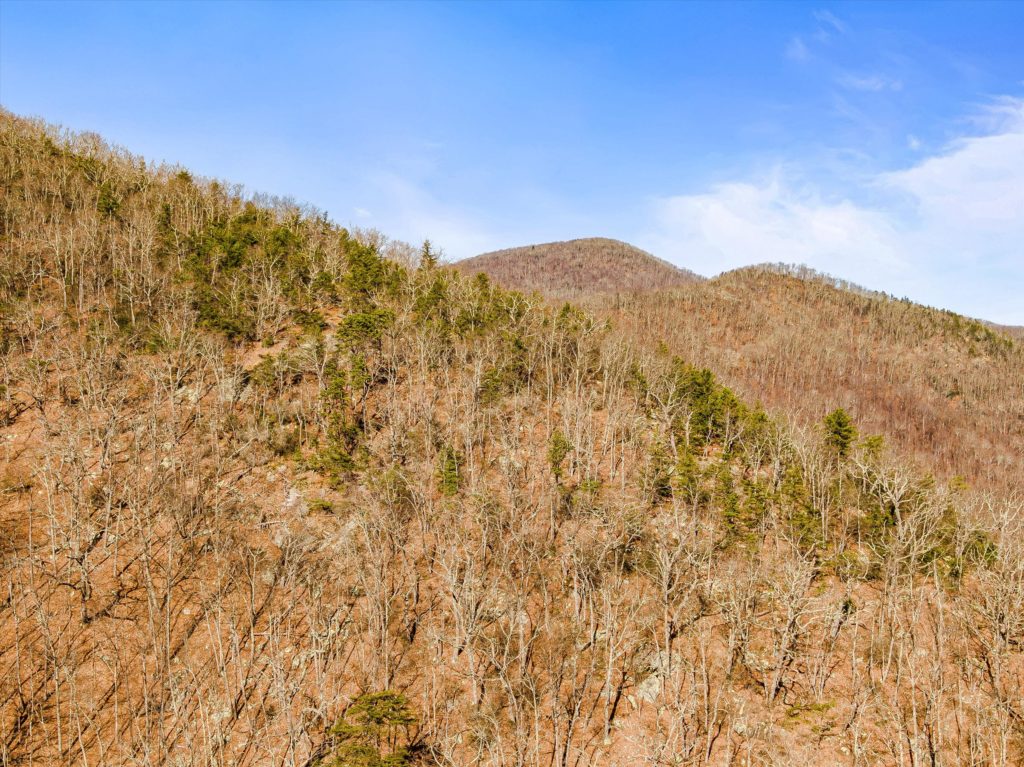 Buncombe County mountain land for sale