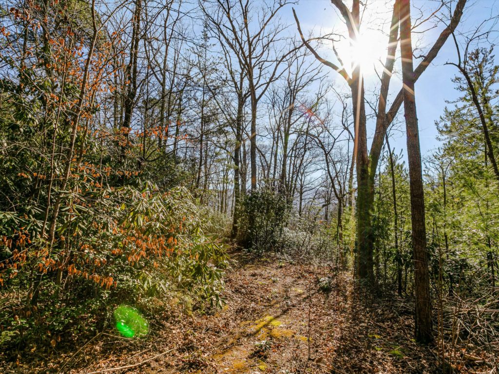 beautiful mountain land for sale in Swannanoa