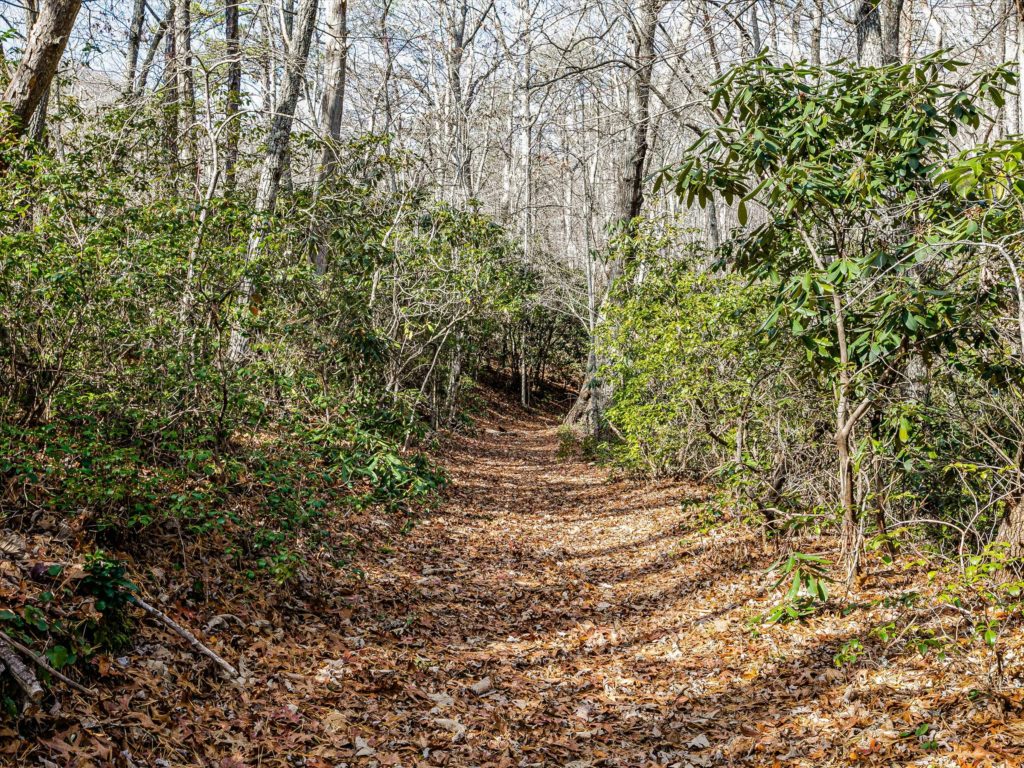 WNC land with roadbed network