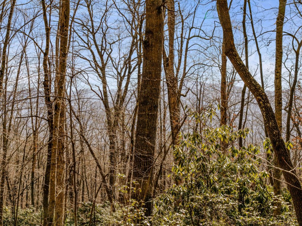 mountain views in Swannanoa