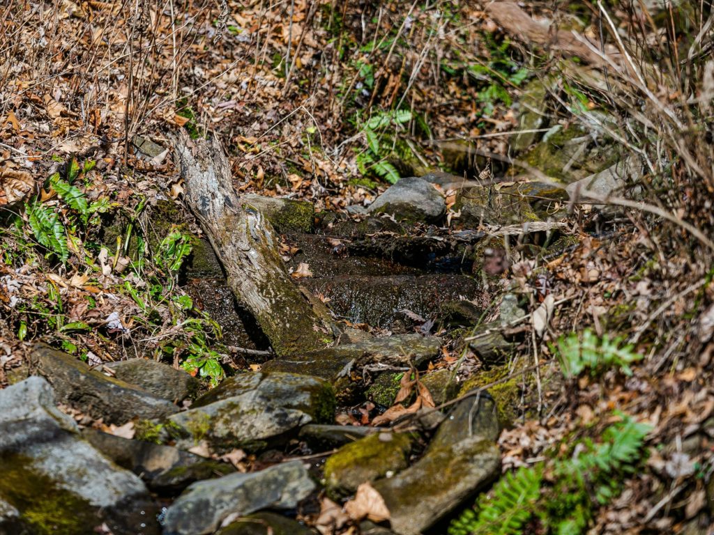 mountain land with springs and creeks