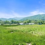 former plant nursery and home for sale