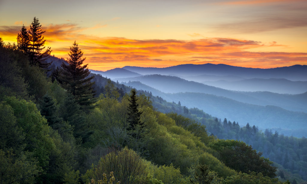 how to find high elevation real estate in WNC