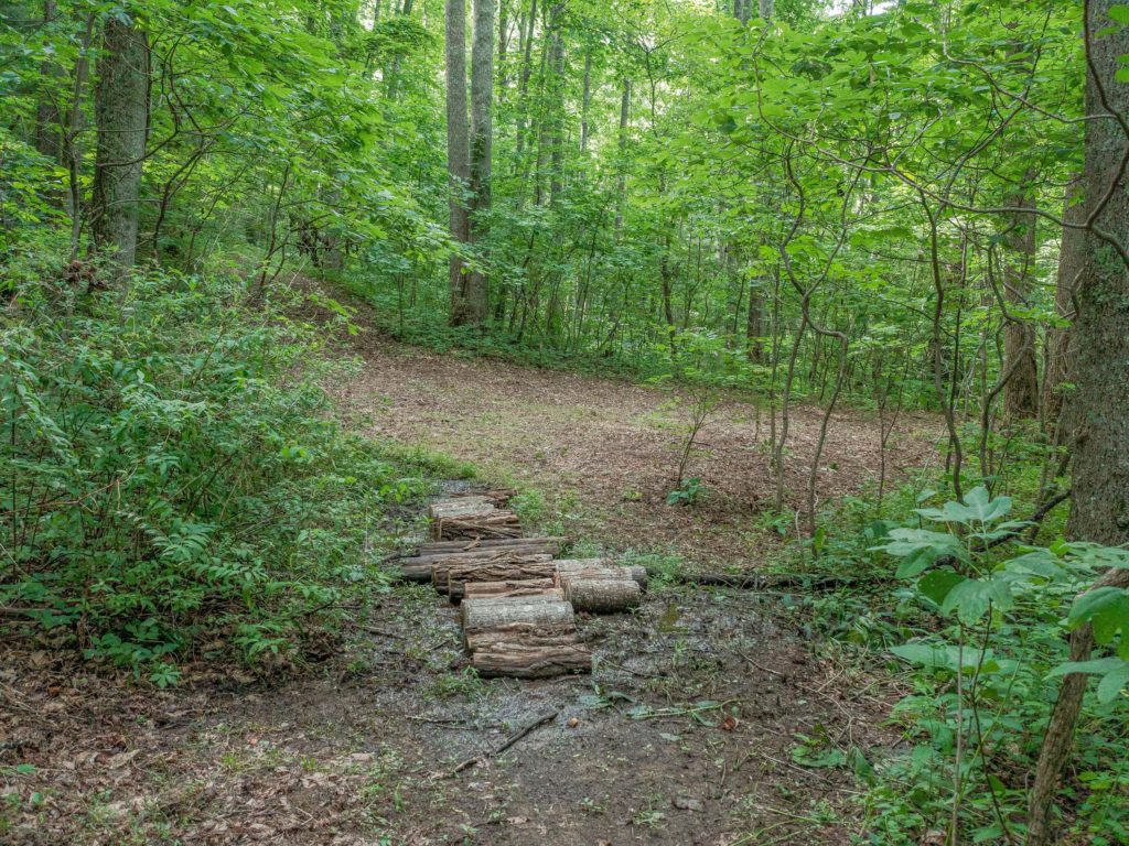lot for sale with stream asheville
