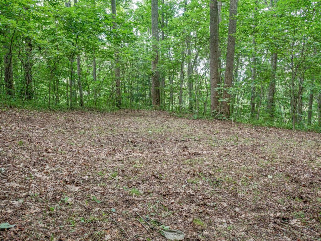 homesite with clearing possible for views