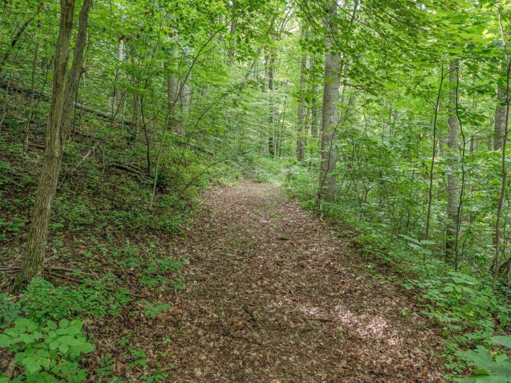 lot for sale in beaverdam area asheville nc