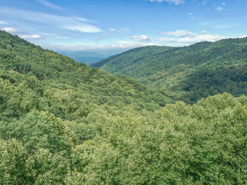 views possible with clearing on asheville estate lot