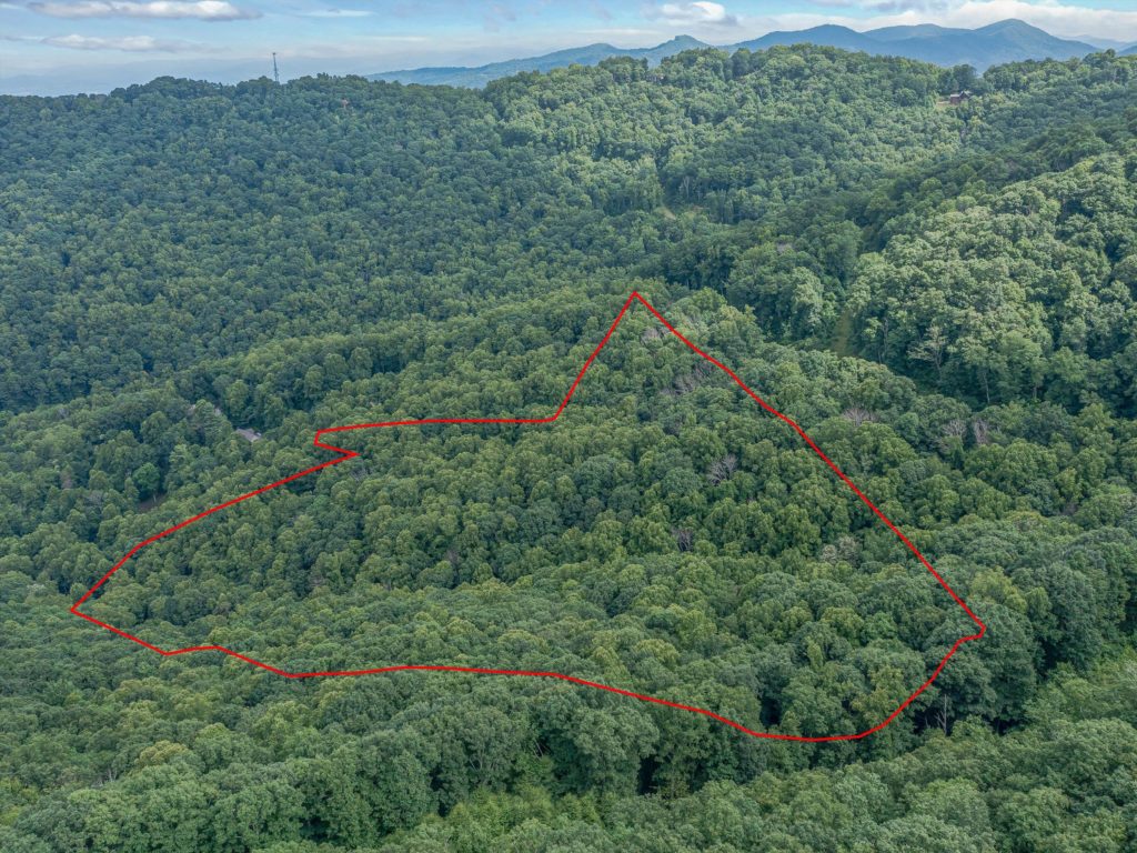 estate lot in beaverdam valley