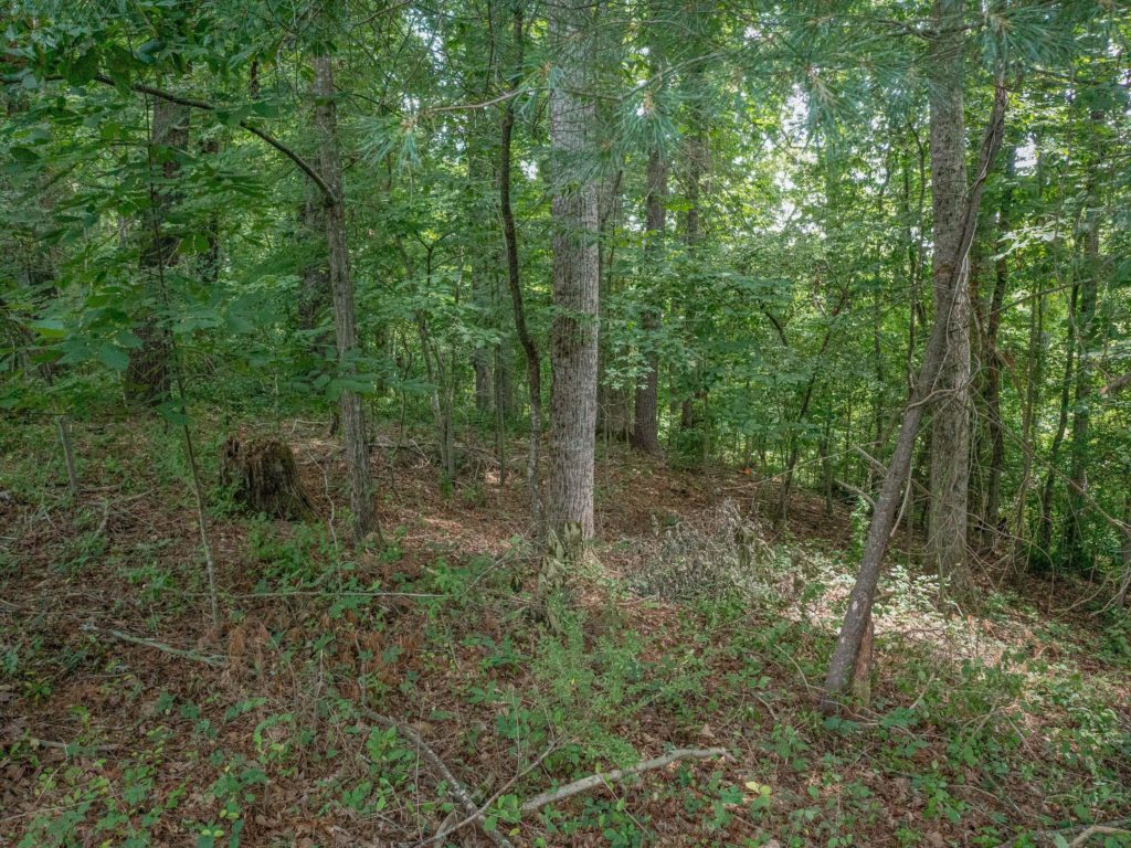 Land for Sale in Alexander NC Altamont Property Group