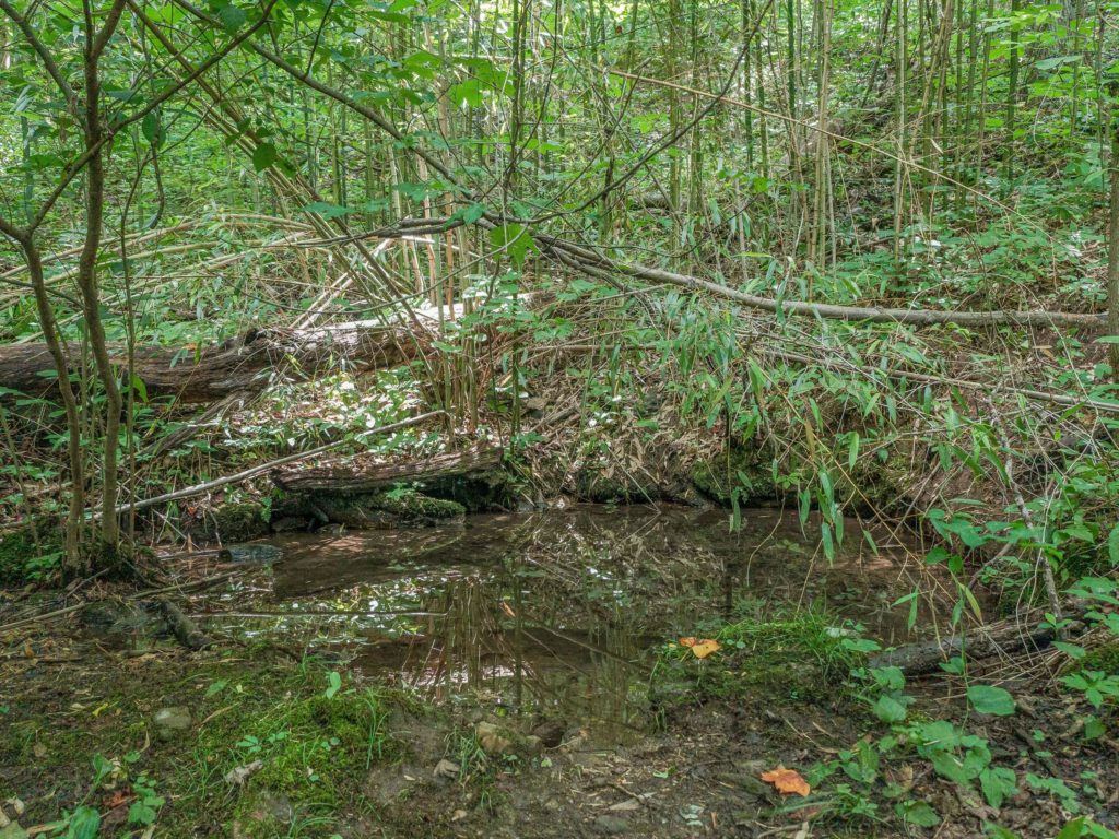 stream on asheville lot for sale