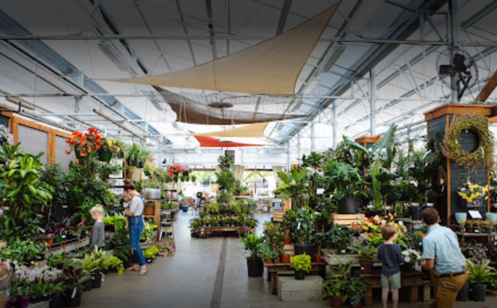 B.B. Barnes Asheville plant nursery