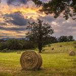 Land in Western North Carolina