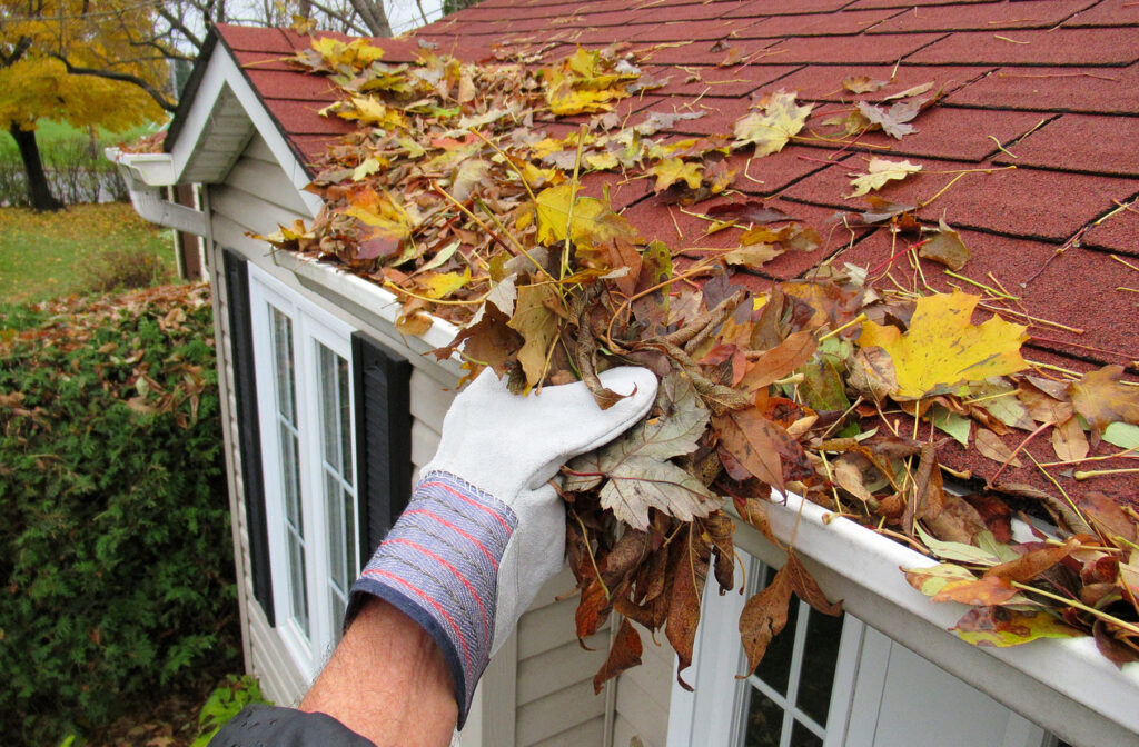cleaning your gutters and house exterior for fall