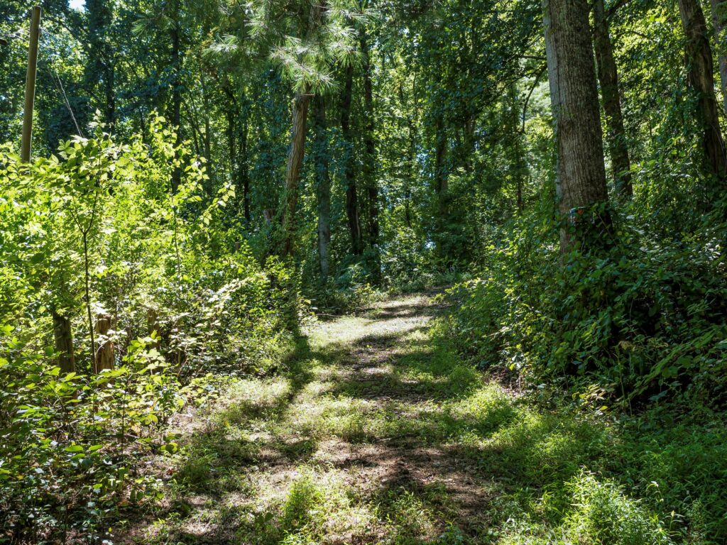 mountain land for sale in Asheville