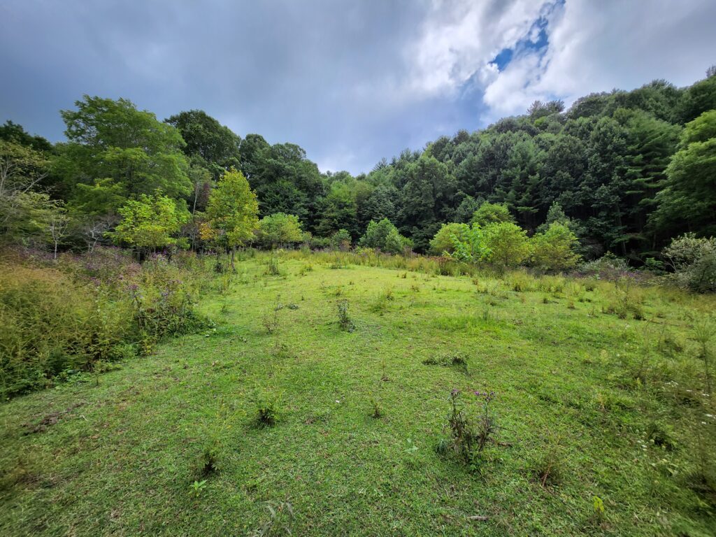 mountain land for sale in Haywood County